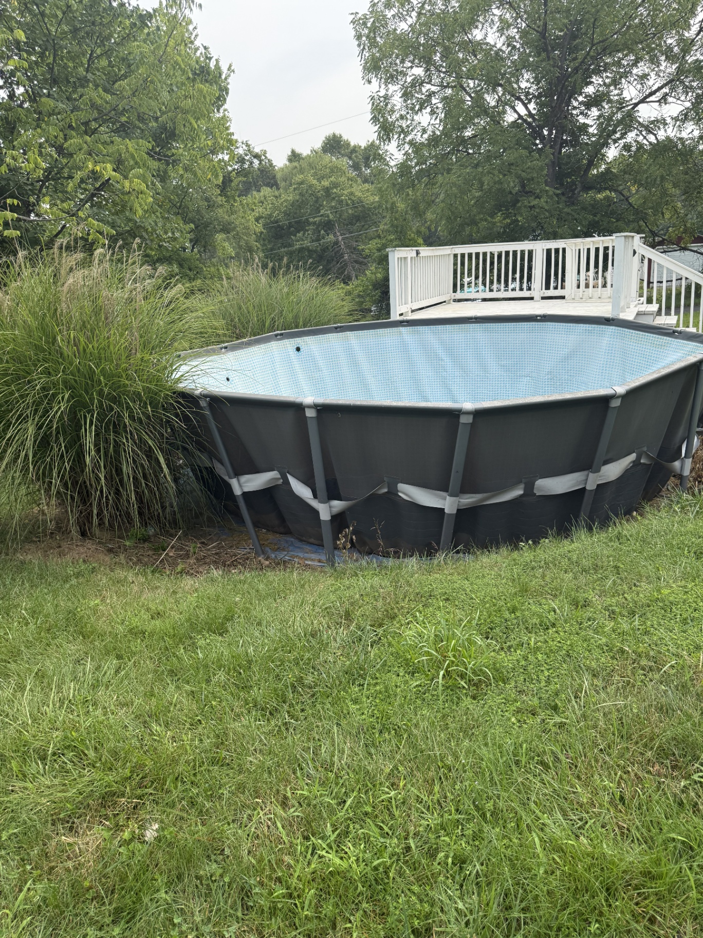 Overgrown yard with above-ground pool before T1 Junk Removal cleanup